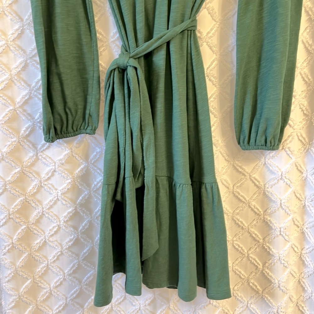 LOFT Snap Front Ruffle Dress - Picture 4 of 6